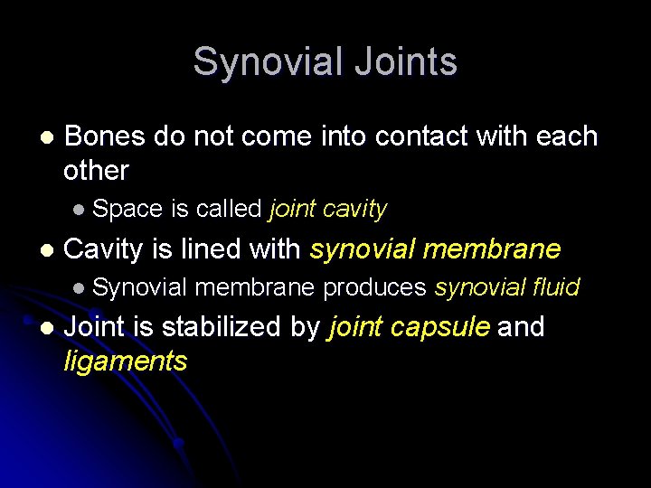 Synovial Joints l Bones do not come into contact with each other l Space