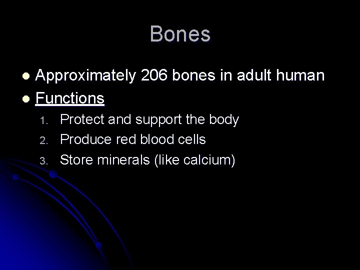 Bones Approximately 206 bones in adult human l Functions l 1. 2. 3. Protect