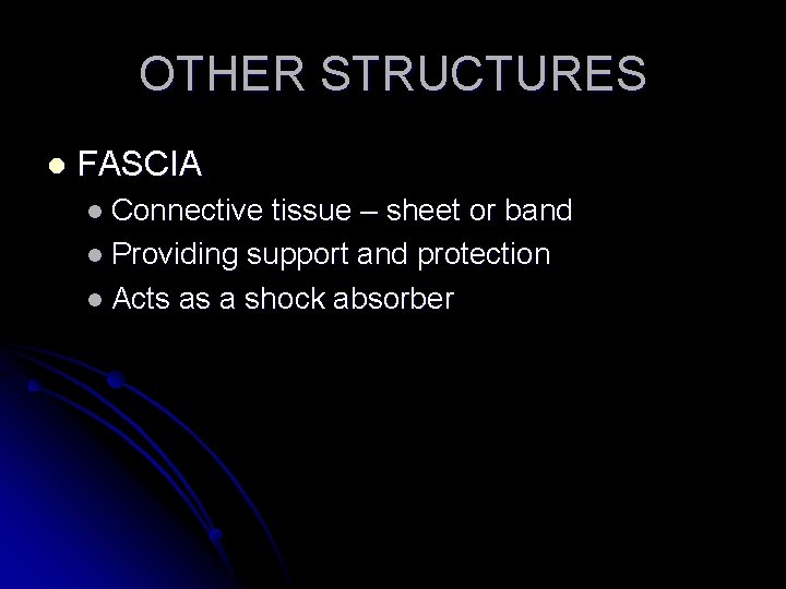 OTHER STRUCTURES l FASCIA l Connective tissue – sheet or band l Providing support