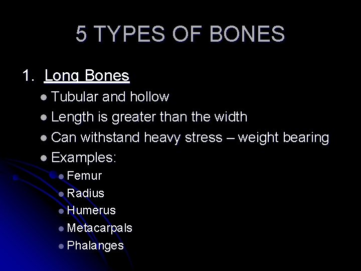 5 TYPES OF BONES 1. Long Bones l Tubular and hollow l Length is