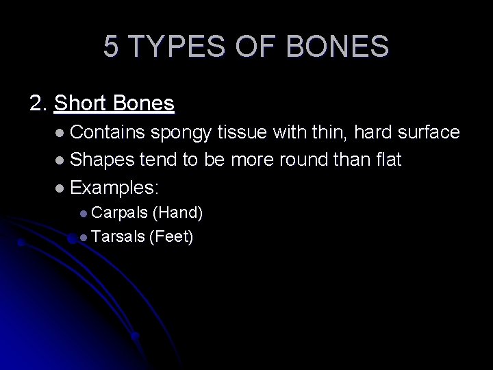 5 TYPES OF BONES 2. Short Bones l Contains spongy tissue with thin, hard