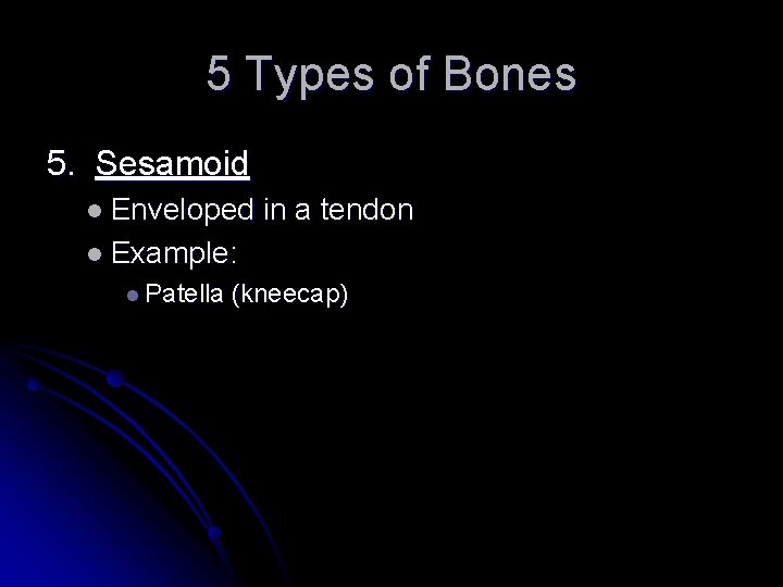 5 Types of Bones 5. Sesamoid l Enveloped in a tendon l Example: l