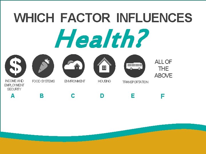 WHICH FACTOR INFLUENCES Health? ALL OF THE ABOVE INCOME AND EMPLOYMENT SECURITY A FOOD