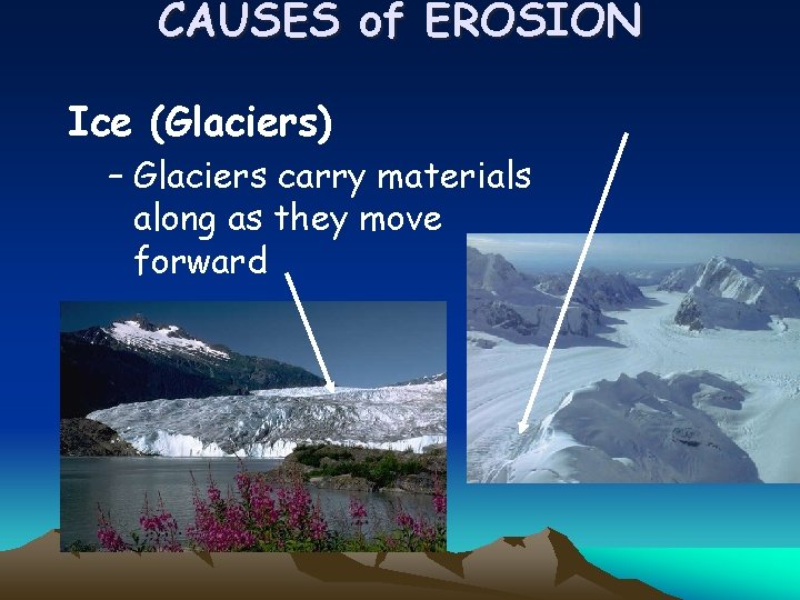 CAUSES of EROSION Ice (Glaciers) – Glaciers carry materials along as they move forward