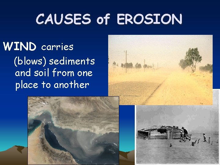 CAUSES of EROSION WIND carries (blows) sediments and soil from one place to another