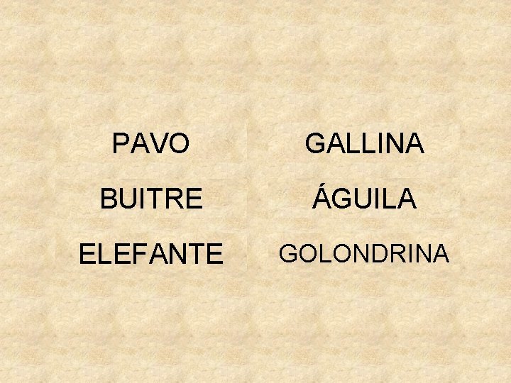 PAVO GALLINA BUITRE ÁGUILA ELEFANTE GOLONDRINA 