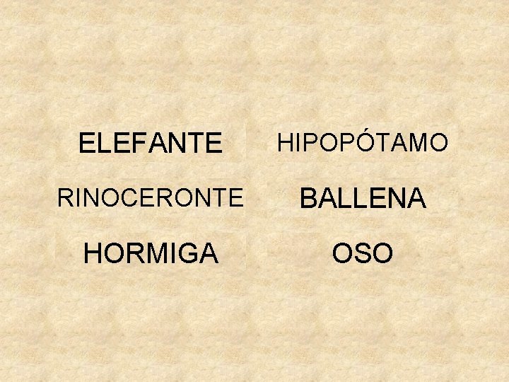 ELEFANTE HIPOPÓTAMO RINOCERONTE BALLENA HORMIGA OSO 