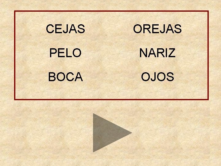 CEJAS OREJAS PELO NARIZ BOCA OJOS ESPALDA PIE RODILLA OJOS 