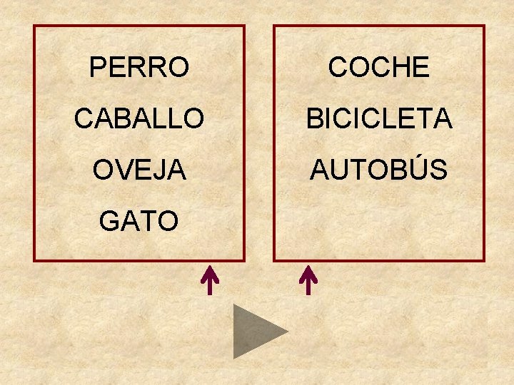 PERRO COCHE CABALLO BICICLETA OVEJA AUTOBÚS GATO ¿Con qué palabras va mejor? Toca en