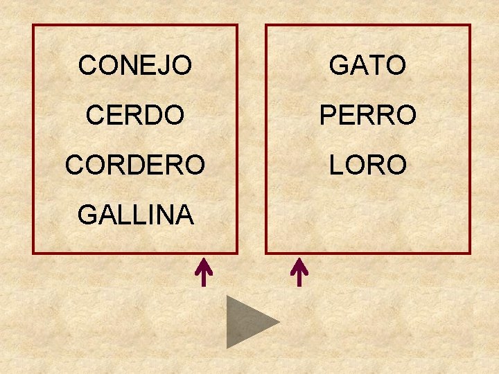 CONEJO GATO CERDO PERRO CORDERO LORO GALLINA 