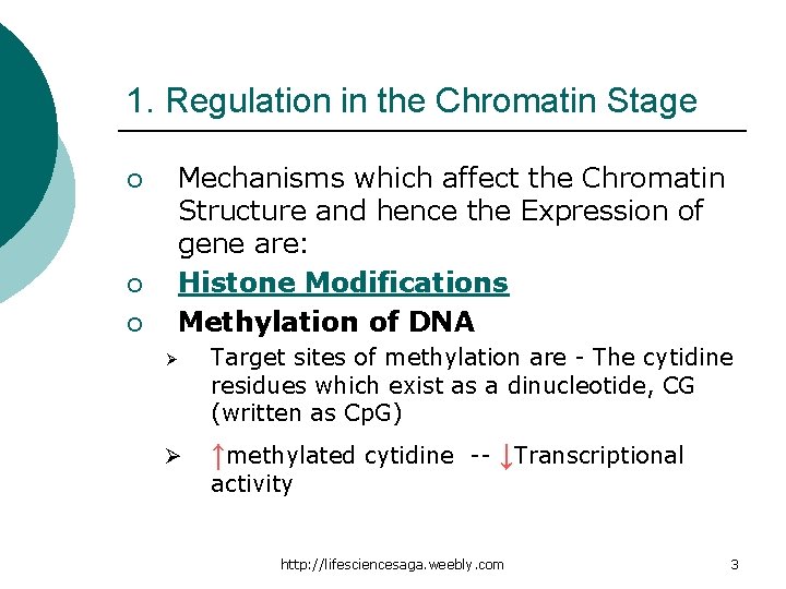 1. Regulation in the Chromatin Stage ¡ ¡ ¡ Mechanisms which affect the Chromatin