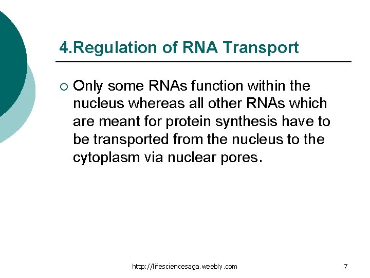 4. Regulation of RNA Transport ¡ Only some RNAs function within the nucleus whereas