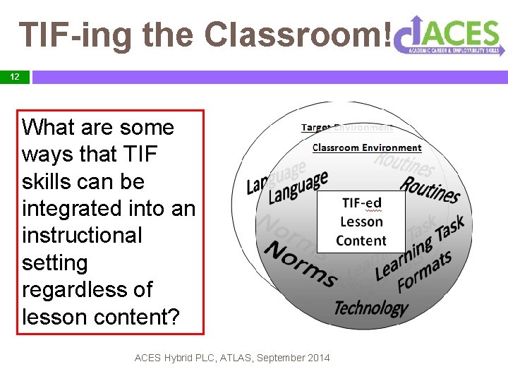 TIF-ing the Classroom! 12 What are some ways that TIF skills can be integrated
