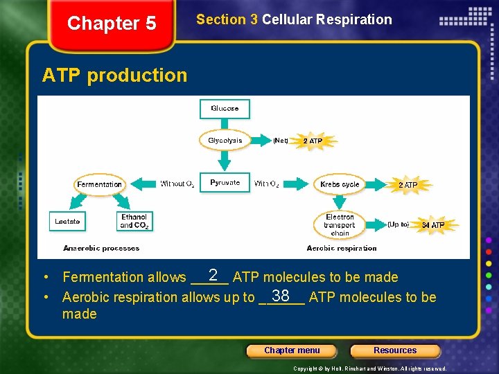 Chapter 5 Section 3 Cellular Respiration ATP production Production of ATP 2 ATP molecules