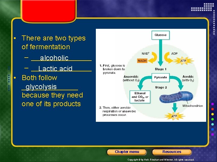  • There are two types of fermentation – ________ alcoholic – ________ Lactic