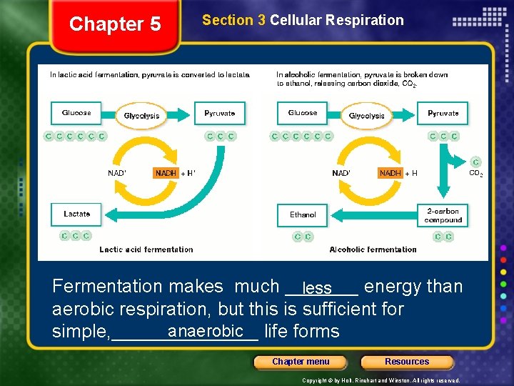 Chapter 5 Section 3 Cellular Respiration Fermentation makes much _______ energy than less aerobic