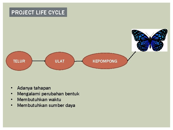 PROJECT LIFE CYCLE TELUR • • ULAT Adanya tahapan Mengalami perubahan bentuk Membutuhkan waktu