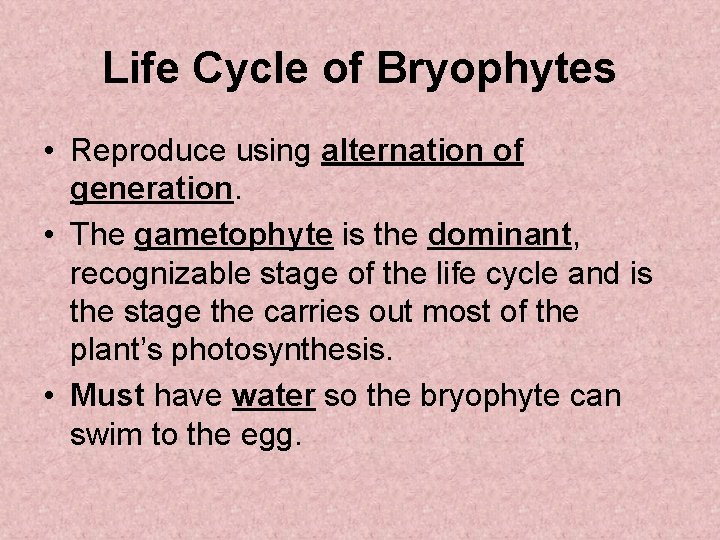 Life Cycle of Bryophytes • Reproduce using alternation of generation. • The gametophyte is