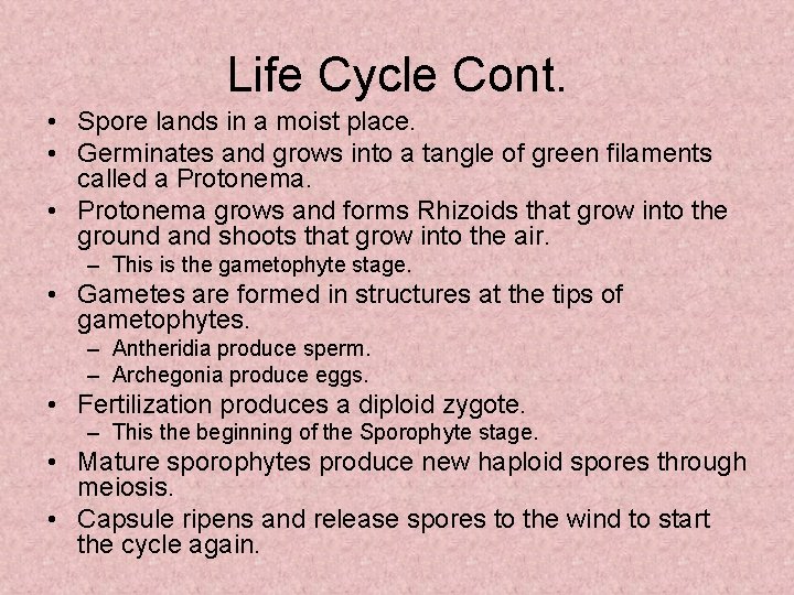 Life Cycle Cont. • Spore lands in a moist place. • Germinates and grows