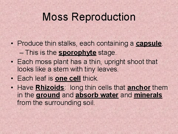 Moss Reproduction • Produce thin stalks, each containing a capsule. – This is the
