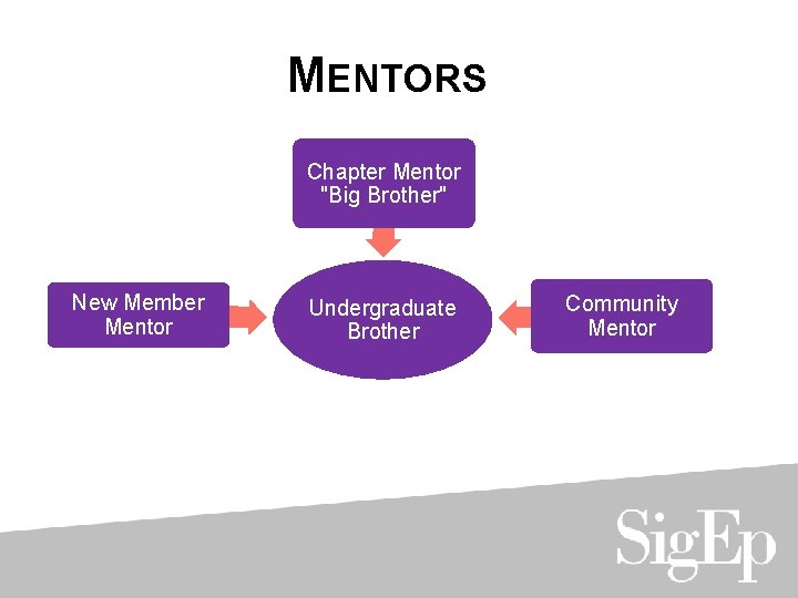 MENTORS Chapter Mentor "Big Brother" New Member Mentor Undergraduate Brother Community Mentor 