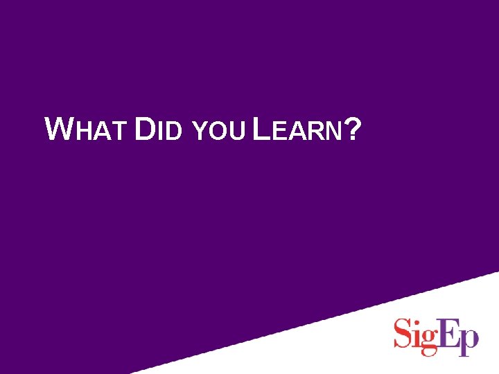 WHAT DID YOU LEARN? 