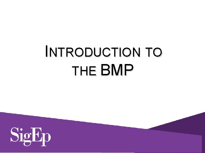 INTRODUCTION TO THE BMP 