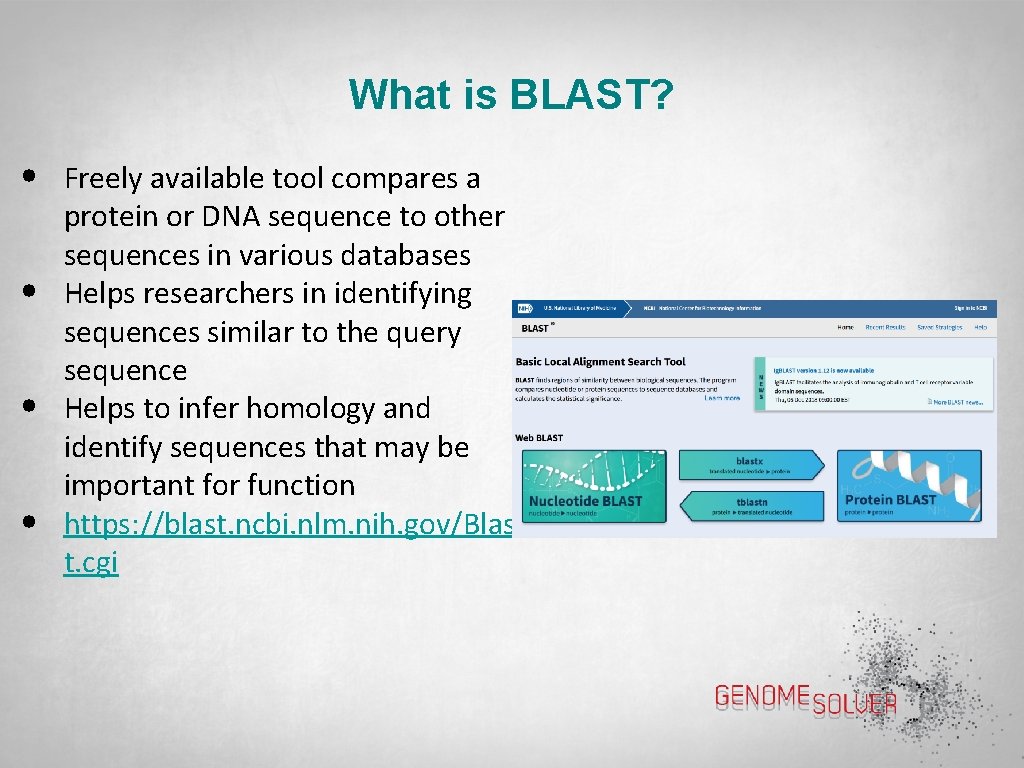 What is BLAST? • • Freely available tool compares a protein or DNA sequence