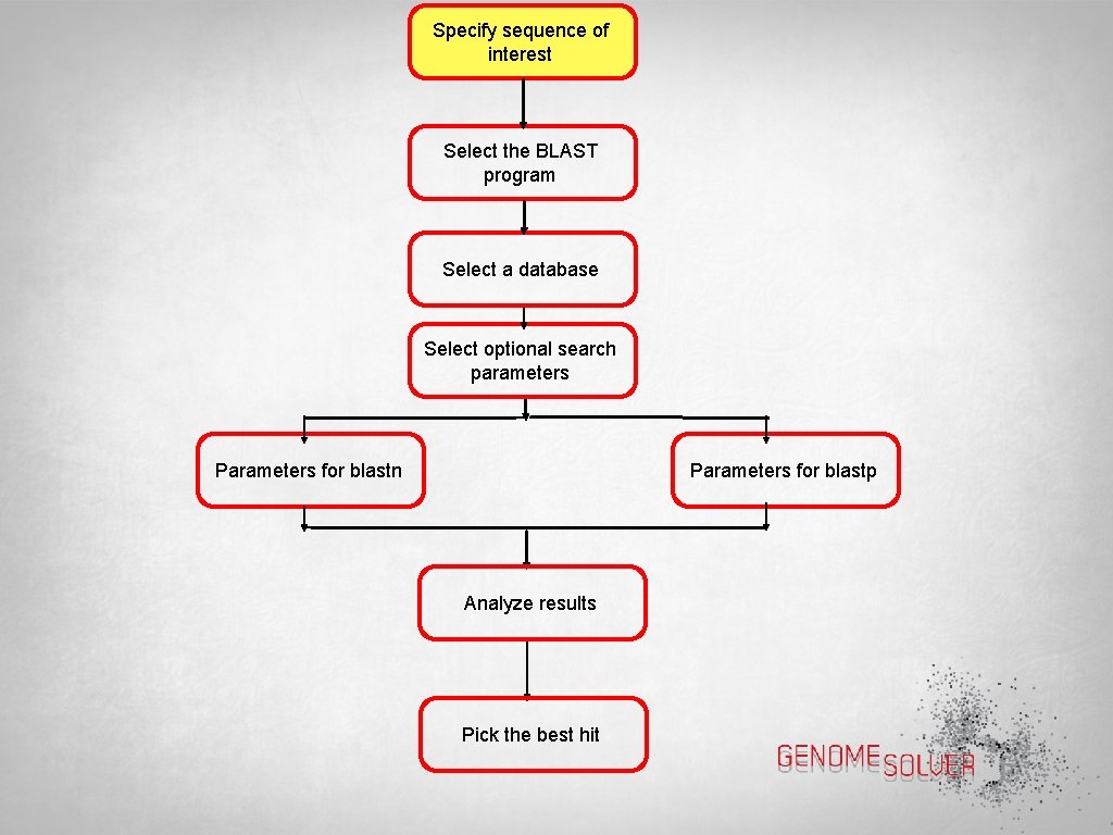 Specify sequence of interest Select the BLAST program Select a database Select optional search