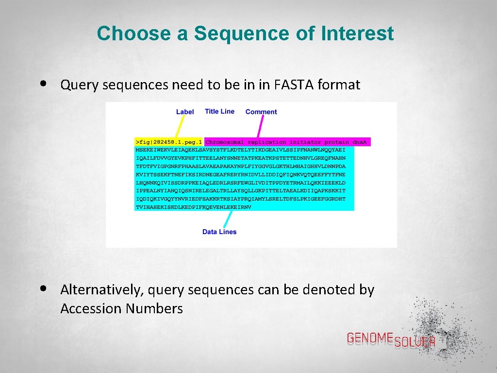 Choose a Sequence of Interest • Query sequences need to be in in FASTA