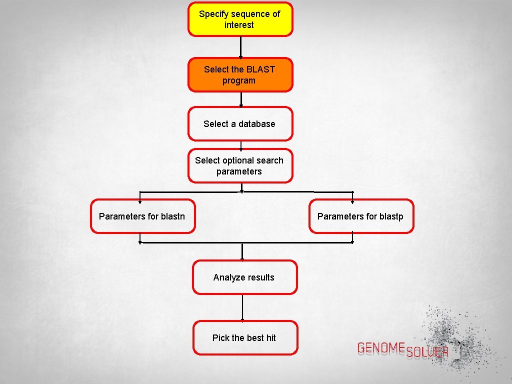 Specify sequence of interest Select the BLAST program Select a database Select optional search
