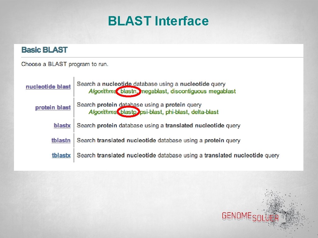 BLAST Interface 