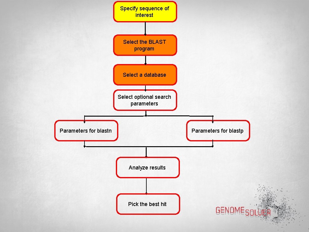 Specify sequence of interest Select the BLAST program Select a database Select optional search