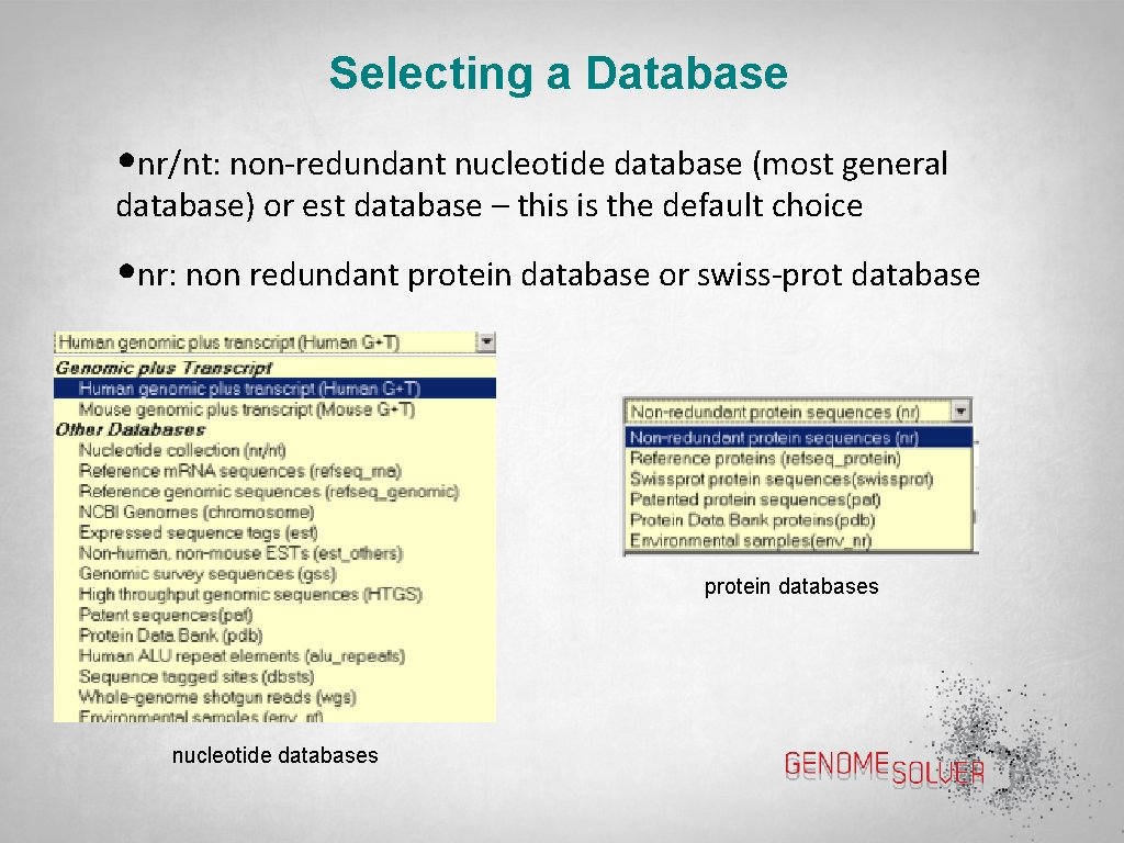 Selecting a Database • nr/nt: non-redundant nucleotide database (most general database) or est database
