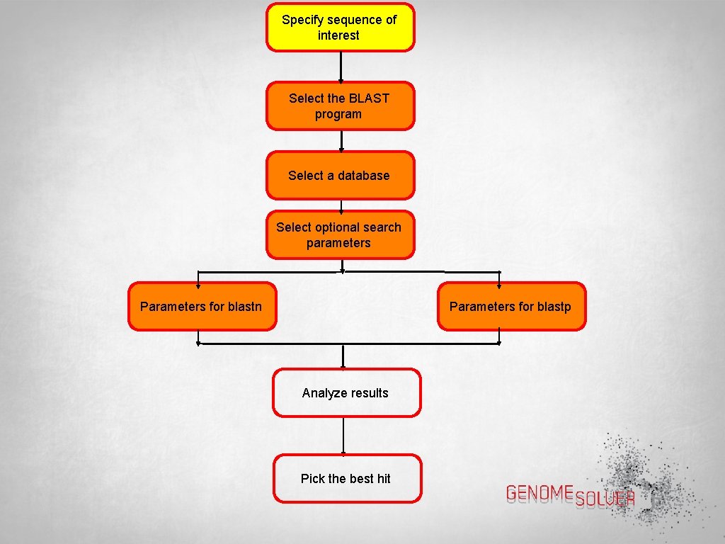 Specify sequence of interest Select the BLAST program Select a database Select optional search