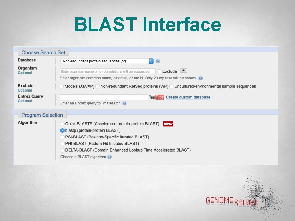 BLAST Interface 