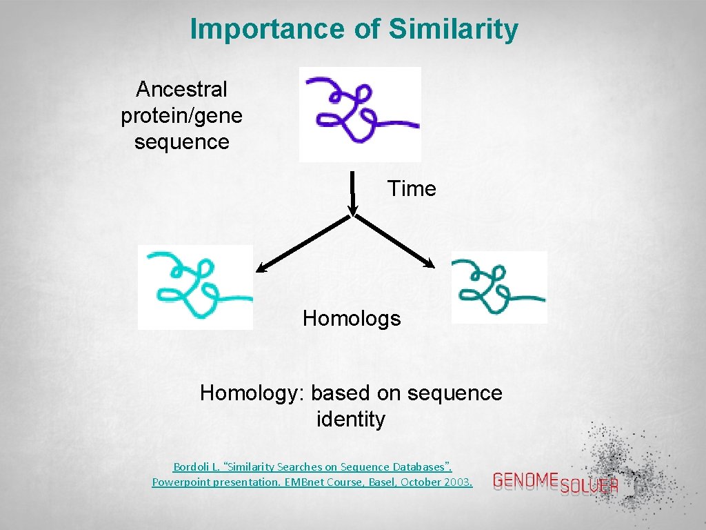 Importance of Similarity Ancestral protein/gene sequence Time Homologs Homology: based on sequence identity Bordoli