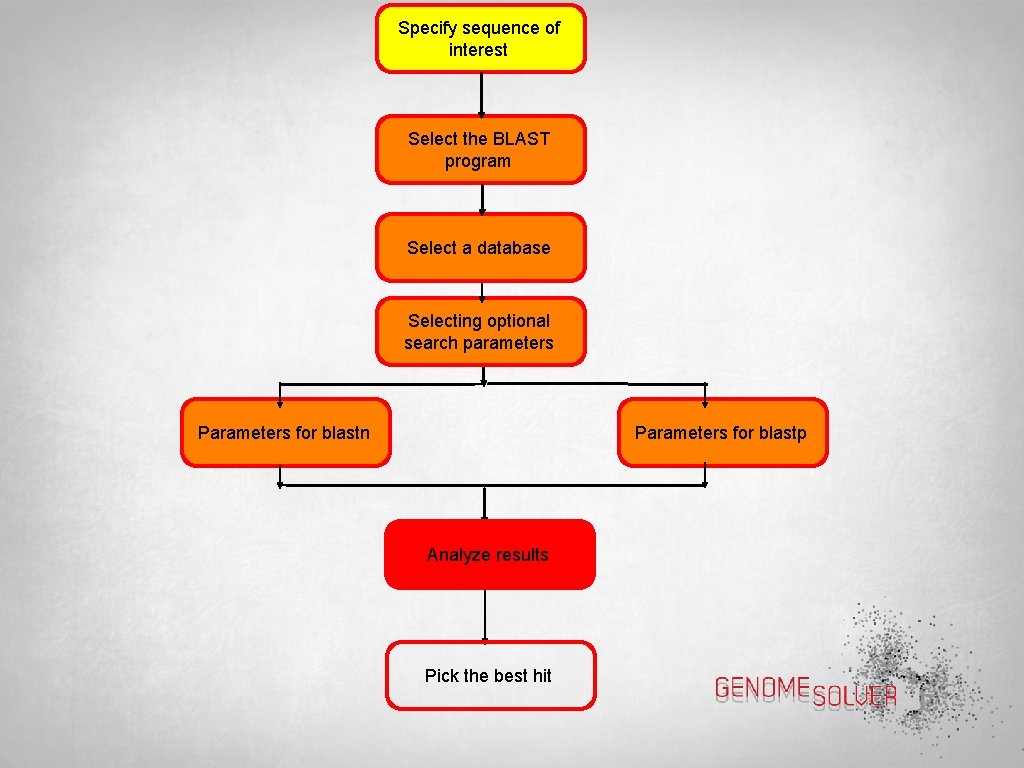 Specify sequence of interest Select the BLAST program Select a database Selecting optional search