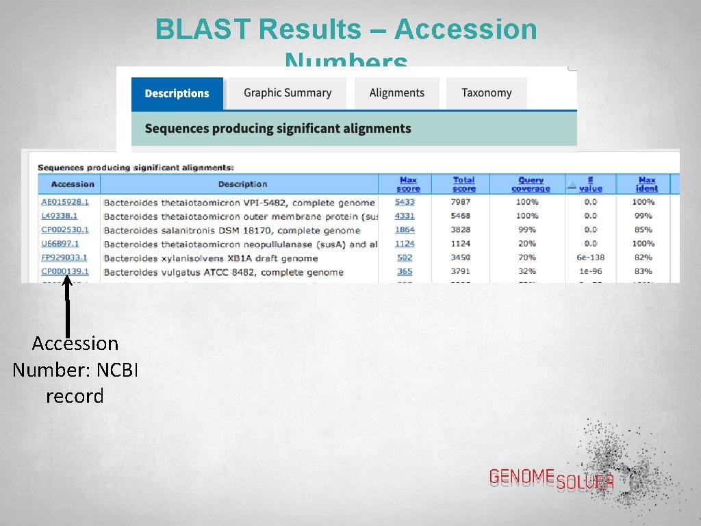 BLAST Results – Accession Numbers Accession Number: NCBI record 