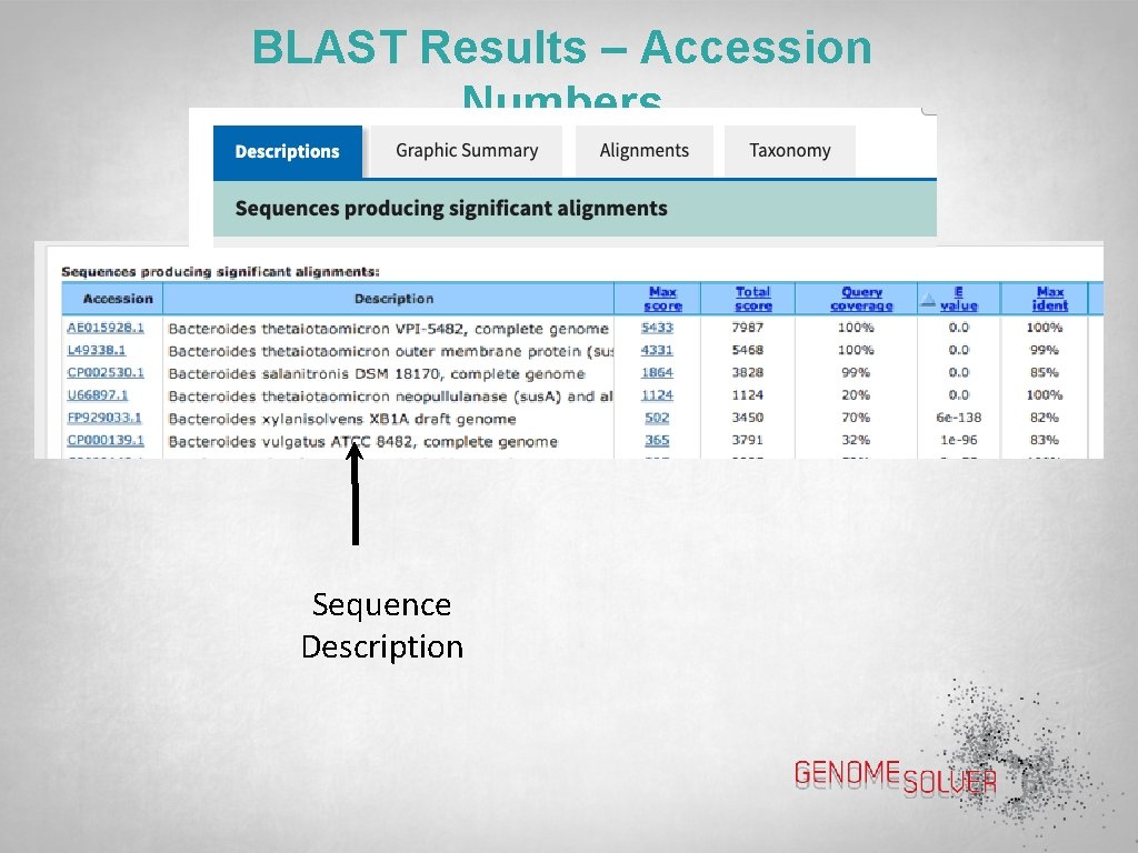 BLAST Results – Accession Numbers Sequence Description 