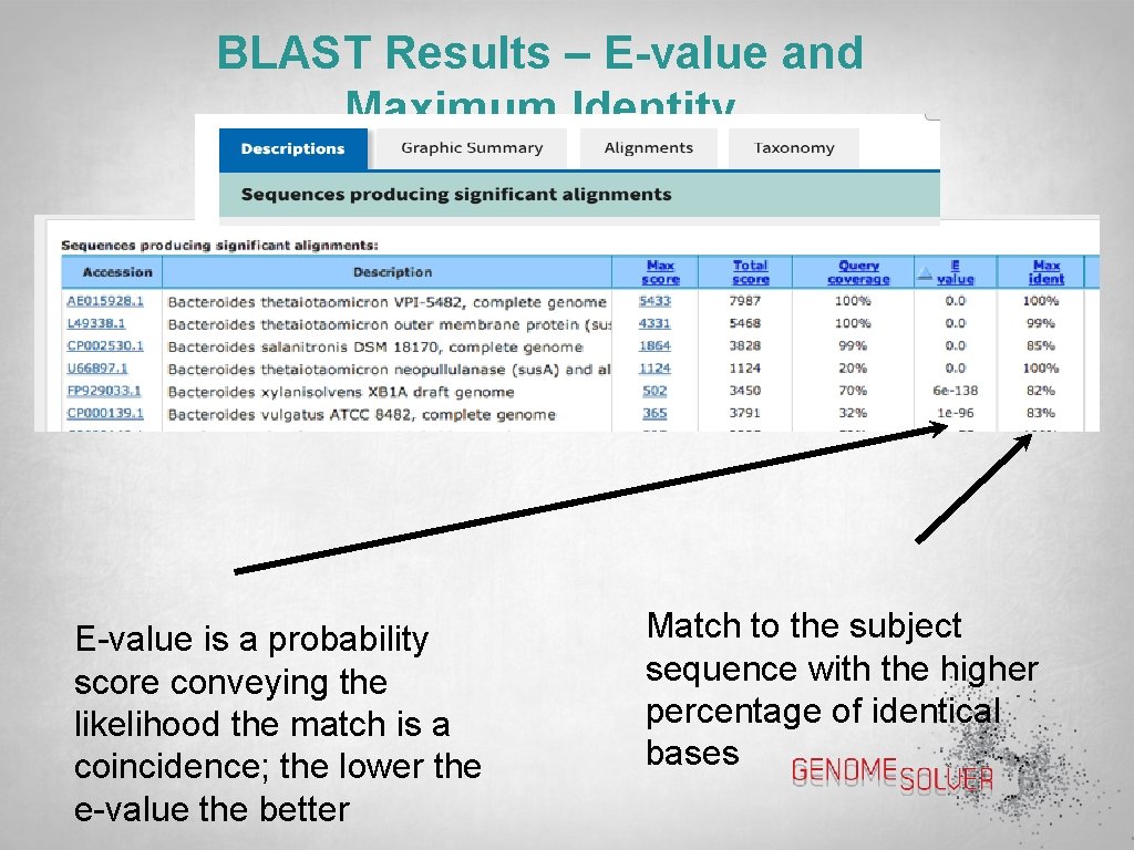 BLAST Results – E-value and Maximum Identity E-value is a probability score conveying the
