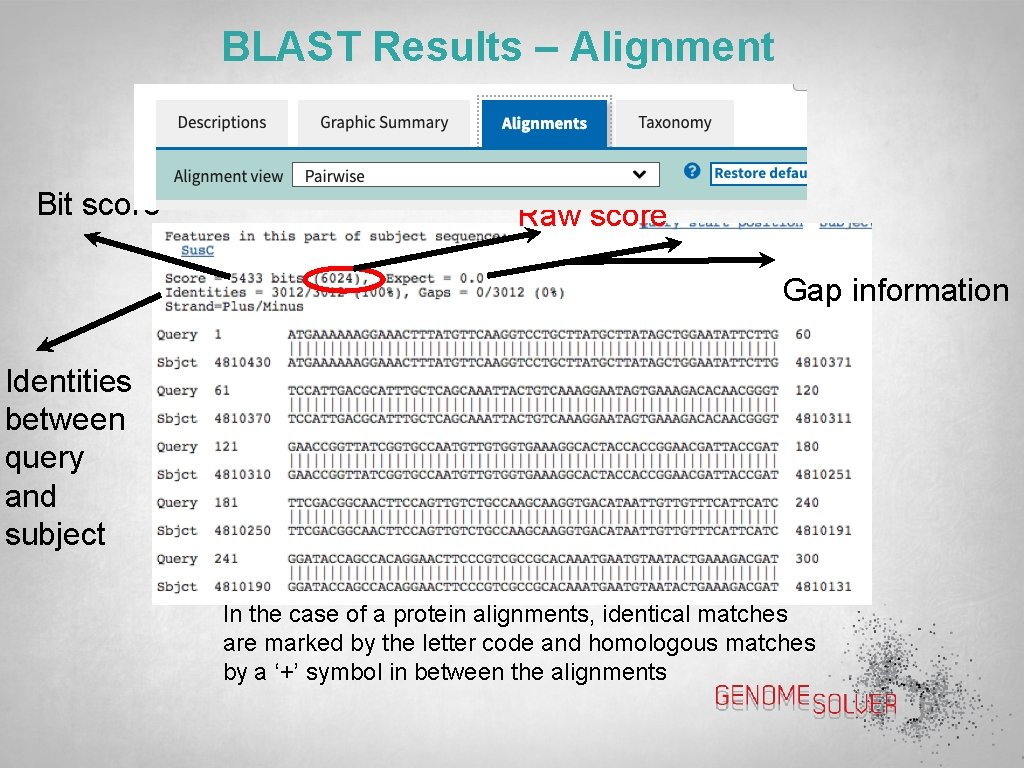 BLAST Results – Alignment Bit score Raw score Gap information Identities between query and