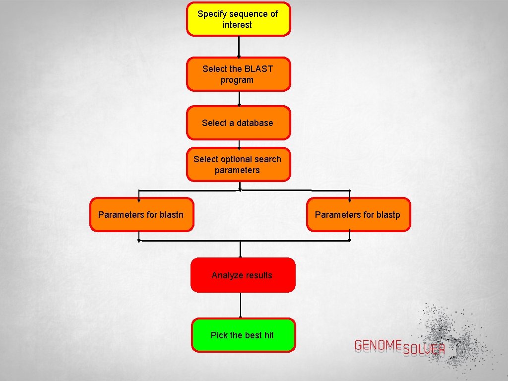 Specify sequence of interest Select the BLAST program Select a database Select optional search