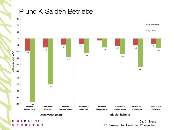 P und K Salden Betriebe Dr. C. Bruns FG Ökologischer Land- und Pflanzenbau 