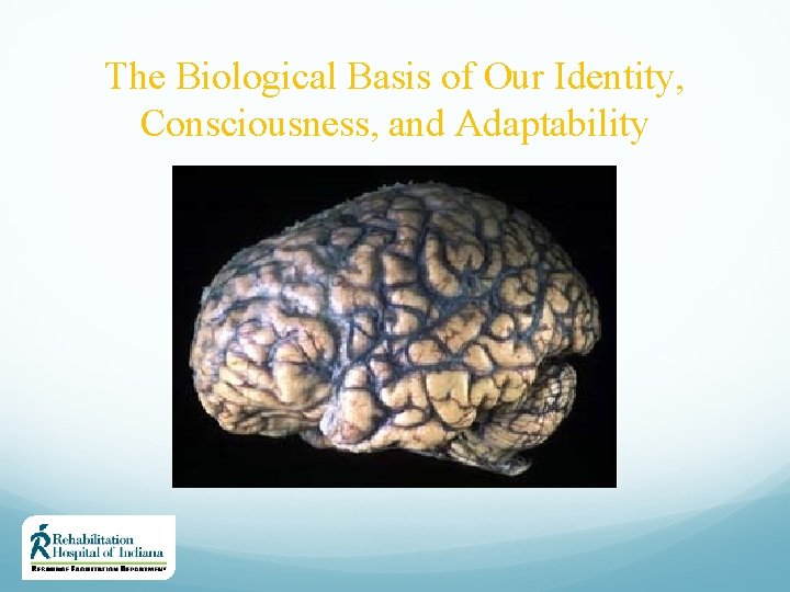 The Biological Basis of Our Identity, Consciousness, and Adaptability 