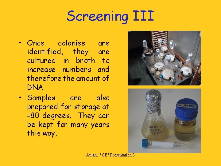 Screening III • Once colonies are identified, they are cultured in broth to increase