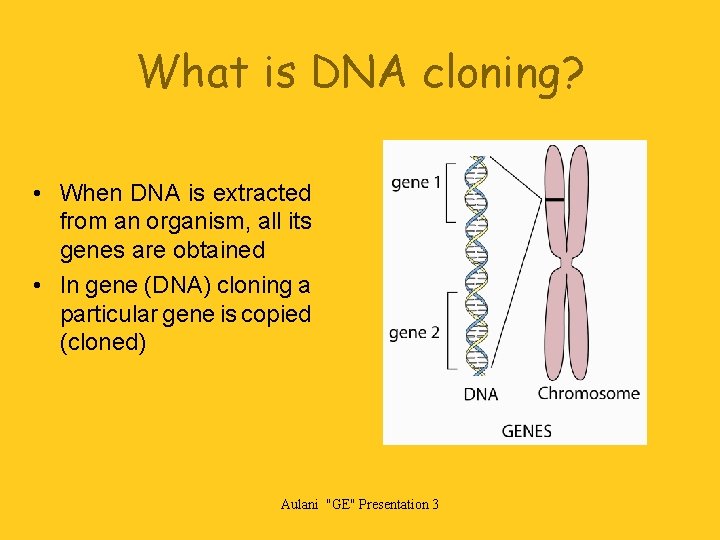 What is DNA cloning? • When DNA is extracted from an organism, all its