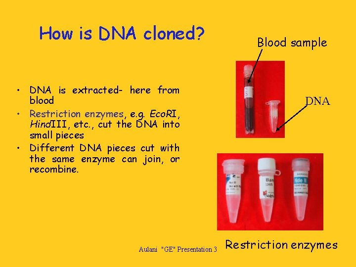 How is DNA cloned? • DNA is extracted- here from blood • Restriction enzymes,