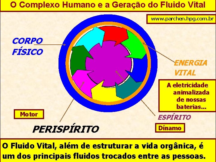 O Complexo Humano e a Geração do Fluido Vital www. parchen. hpg. com. br
