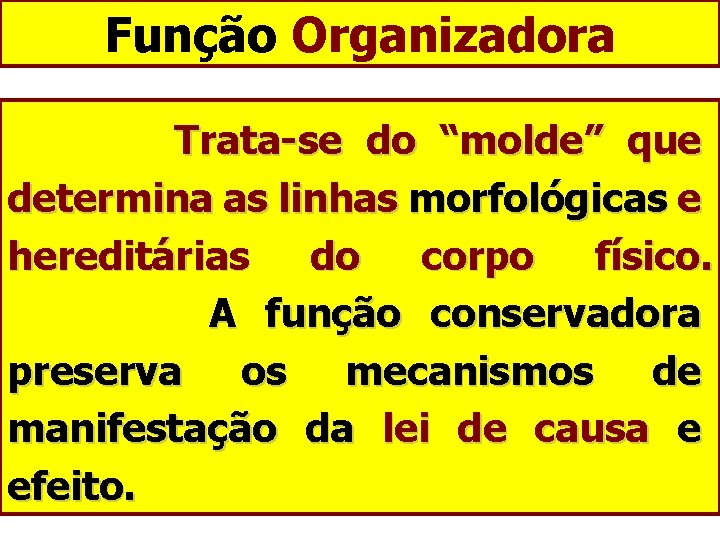 Função Organizadora Trata-se do “molde” que determina as linhas morfológicas e hereditárias do corpo